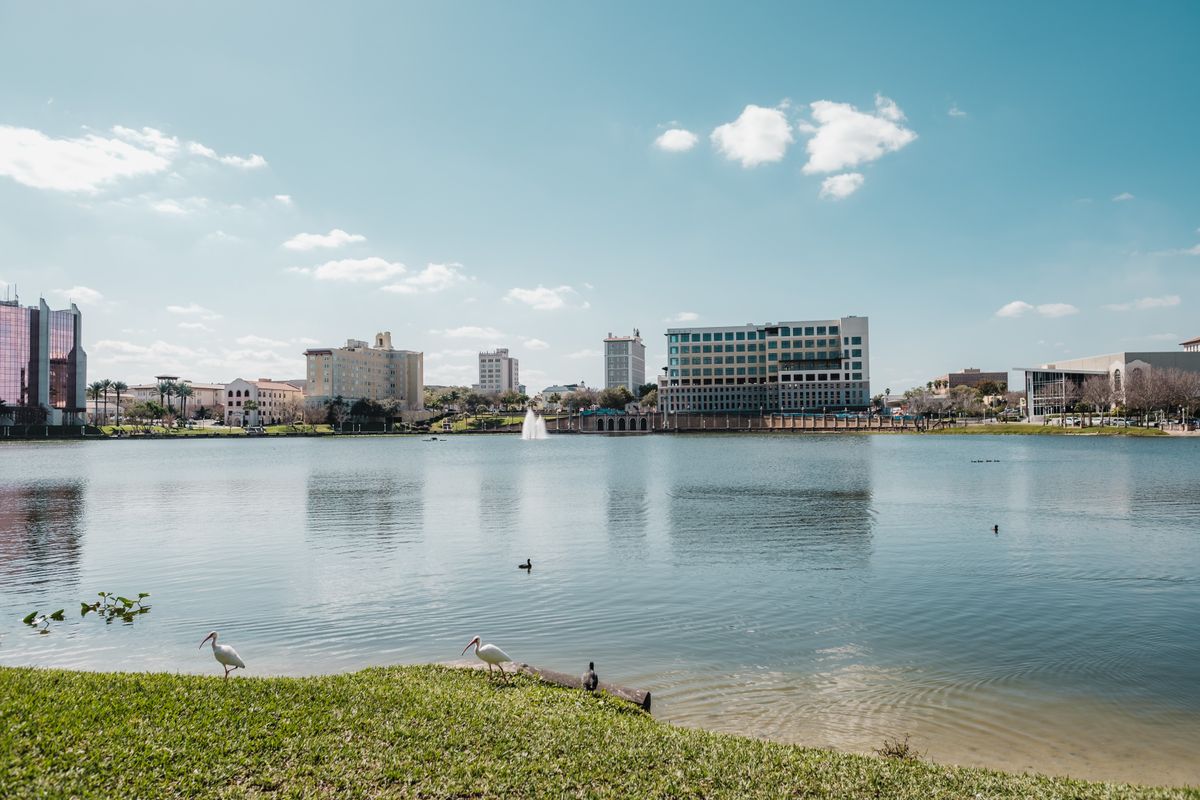Downtown Lakeland skyline across Lake Mirror with ibises on the shore